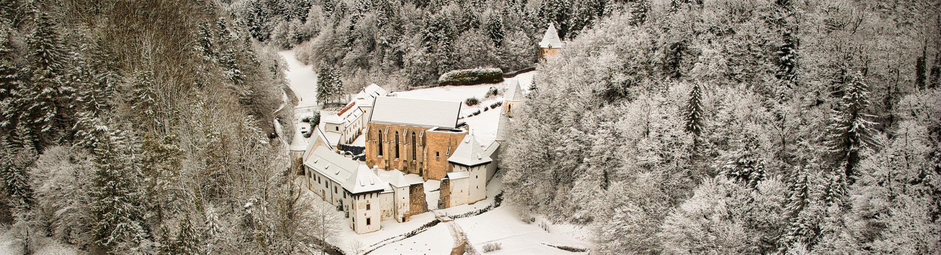 ŽIČKA KARTUZIJA