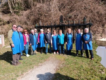 Rez potomke Žička kartuzija