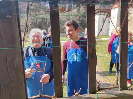 Rez potomke Žička kartuzija